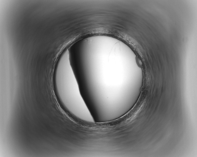 X0000098190625200804241051