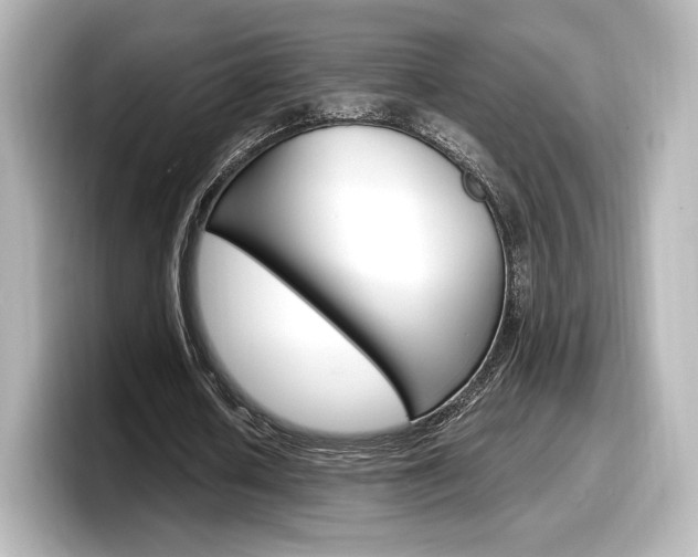 X0000098190626200804241051