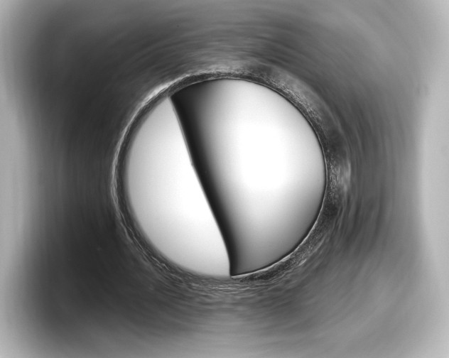 X0000098190628200804241051