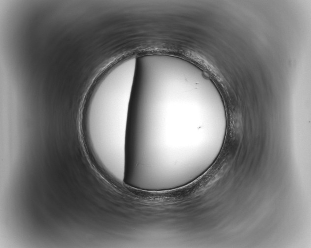 X0000098190629200804241051