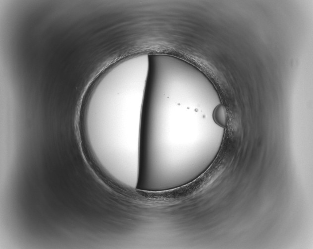 X0000098190630200804241051