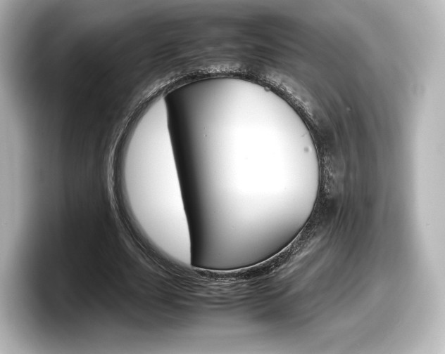 X0000098190631200804241051