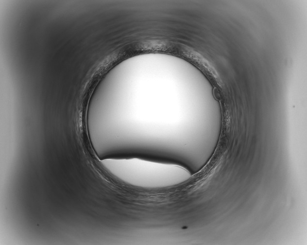 X0000098190633200804241052