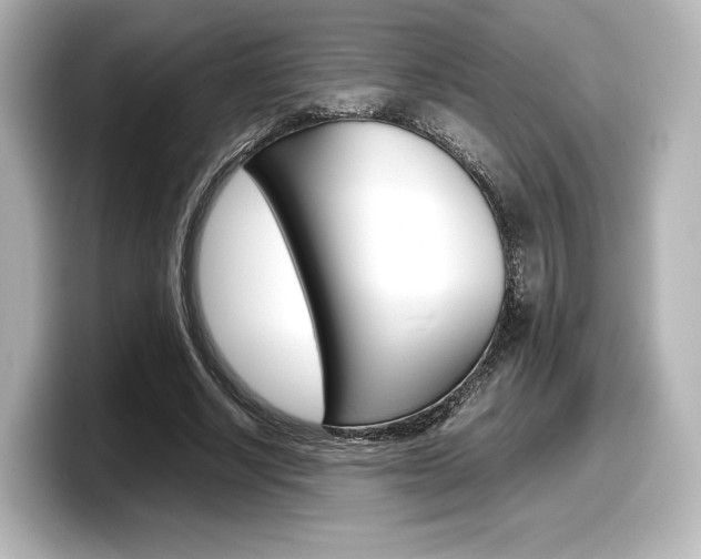 X0000098190634200804241052