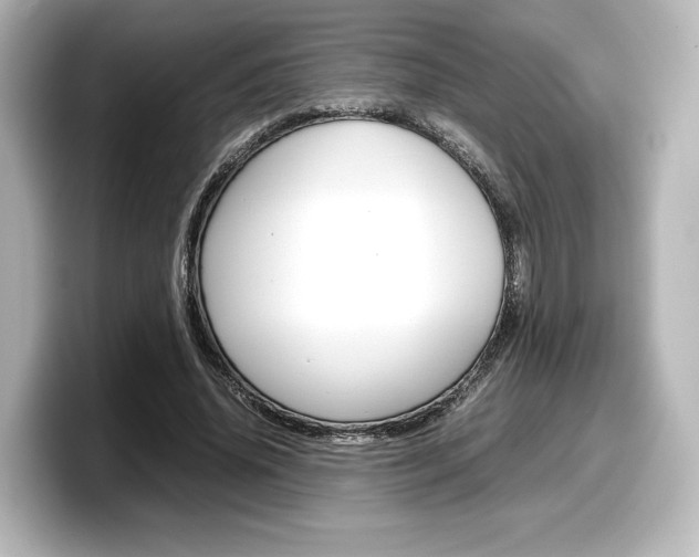 X0000098190636200804241052