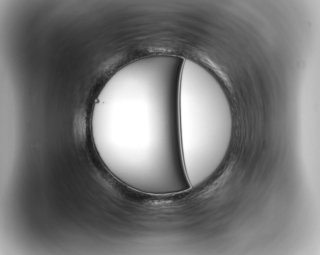 X0000098190637200804241052