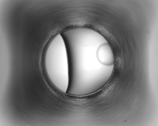 X0000098190638200804241052