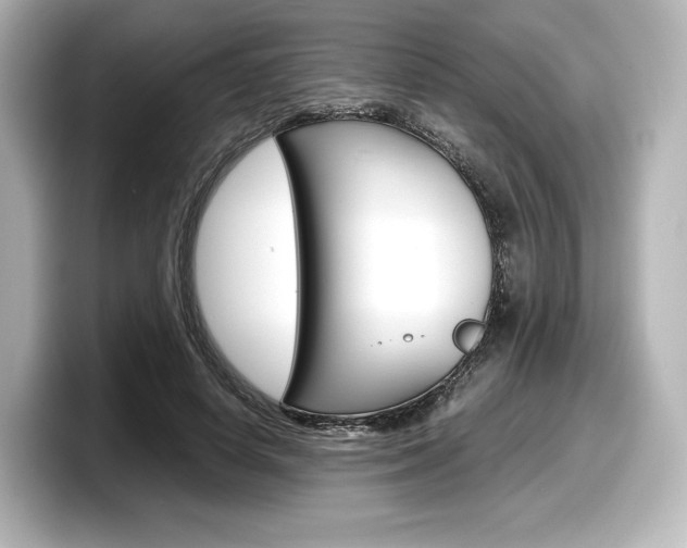 X0000098190642200804241052