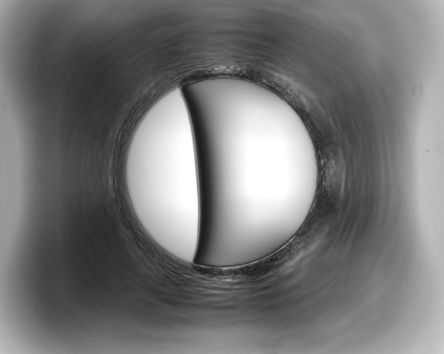 X0000098190643200804241052