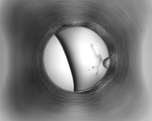X0000098190644200804241052