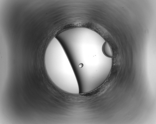 X0000098190646200804241052