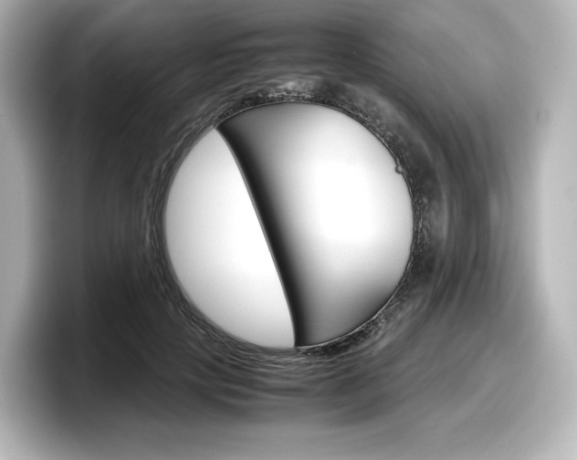 X0000098190649200804241052
