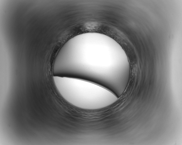 X0000098190651200804241052