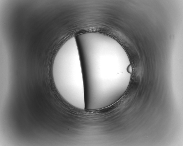 X0000098190652200804241052