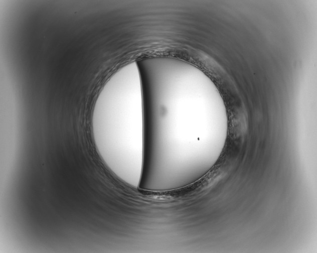 X0000098190654200804241052