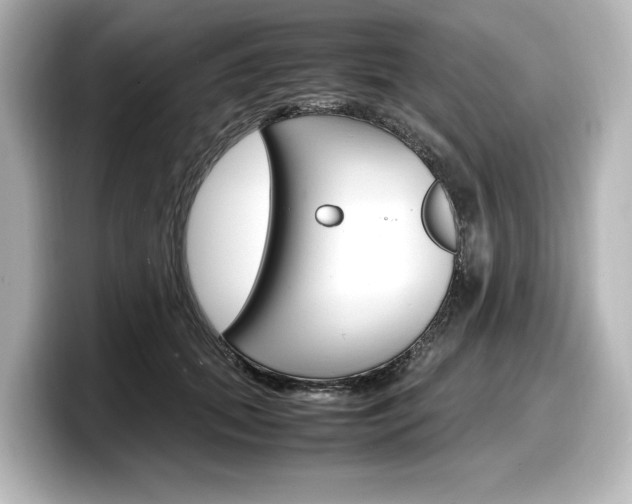 X0000098190655200804241052