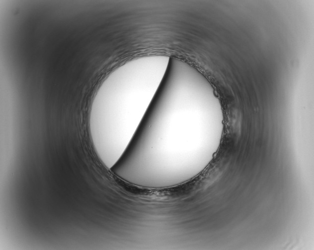 X0000098190656200804241052