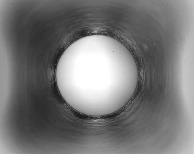 X0000098190657200804241052