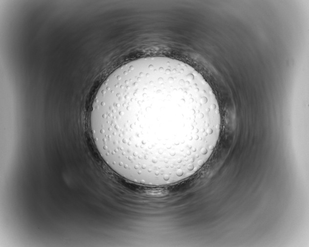 X0000098190659200804241052