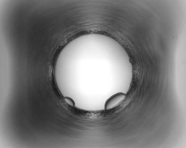 X0000098190660200804241052