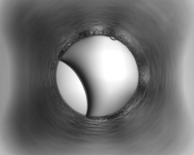 X0000098190661200804241052