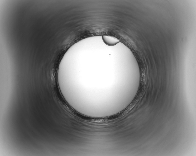 X0000098190662200804241052