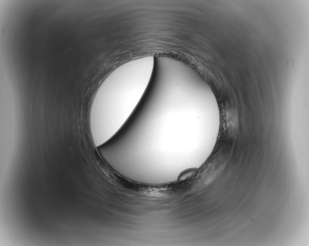 X0000098190664200804241052