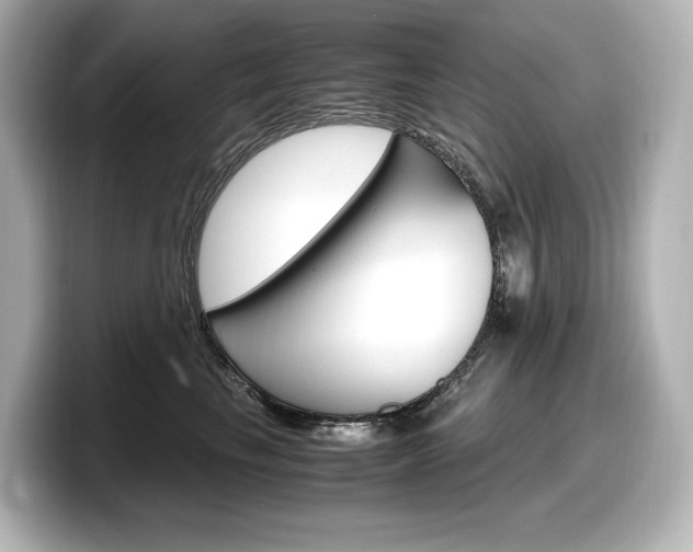 X0000098190665200804241052