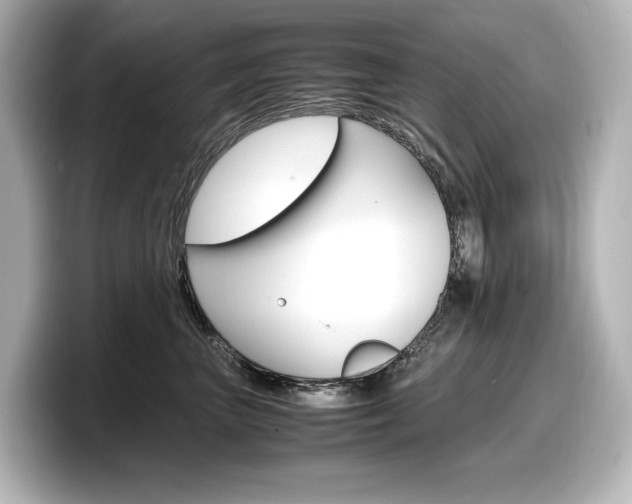 X0000098190667200804241052