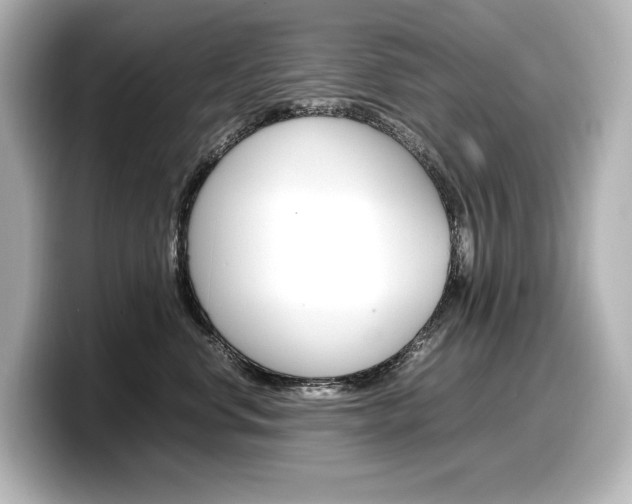 X0000098190668200804241052
