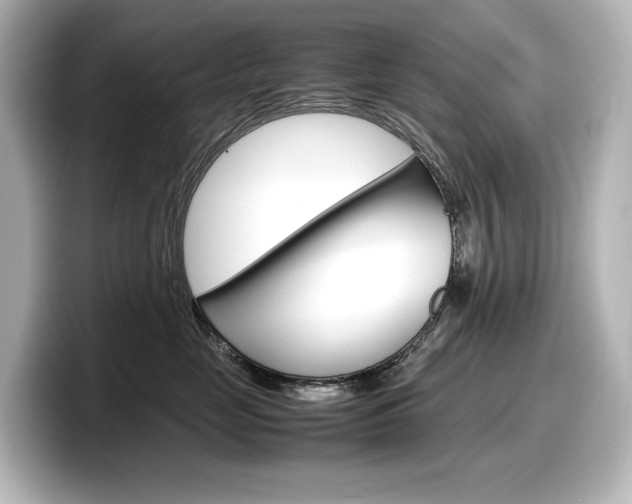 X0000098190669200804241052