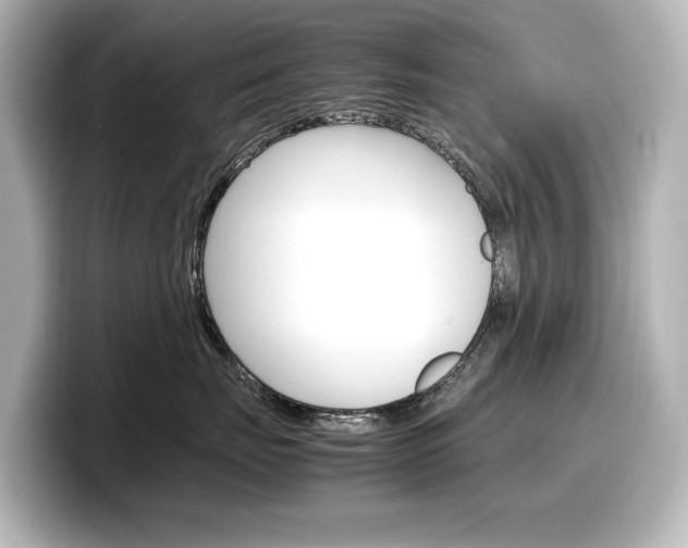X0000098190671200804241052