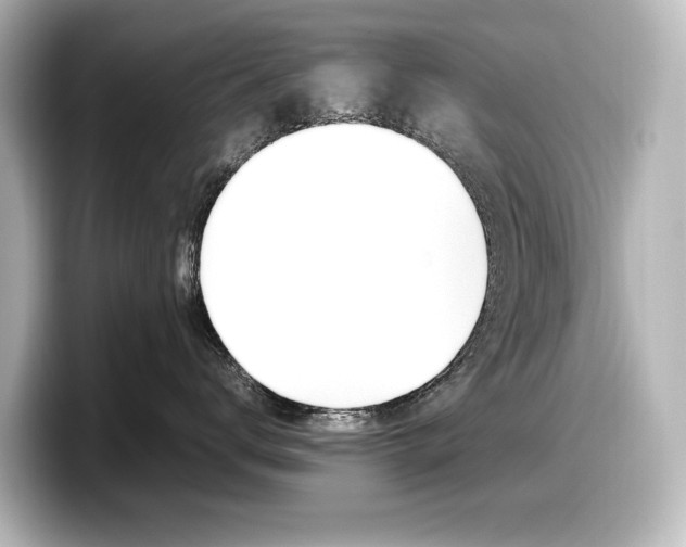 X0000098190672200804241052