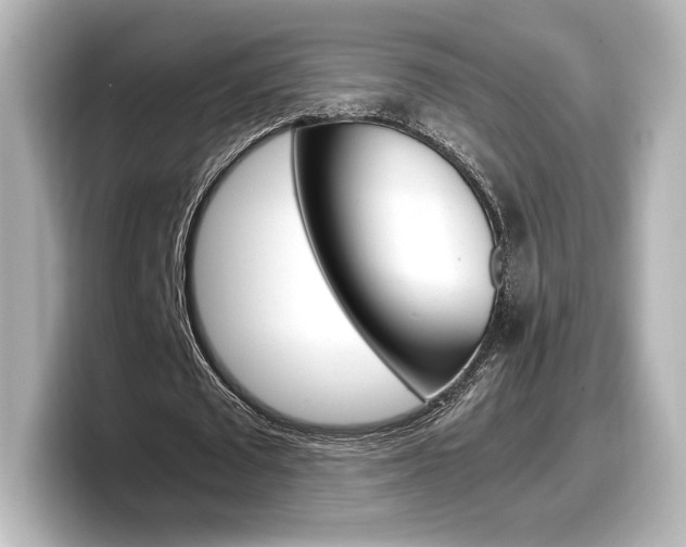 X0000098190673200804241051