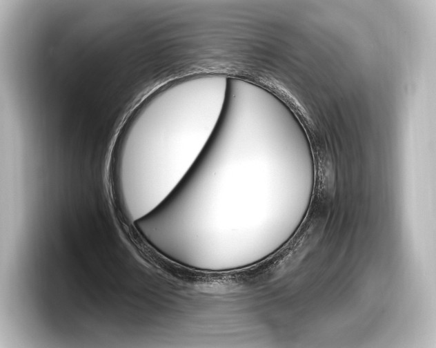 X0000098190674200804241051