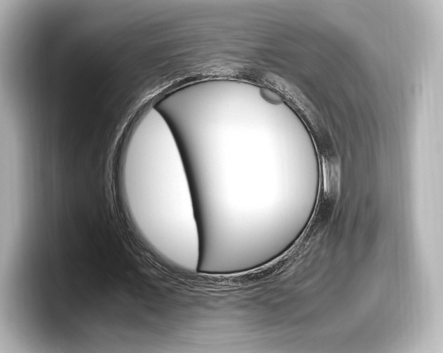 X0000098190675200804241051
