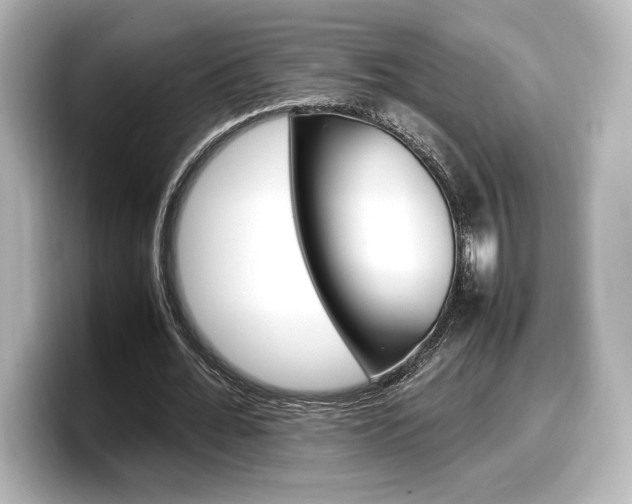 X0000098190676200804241051