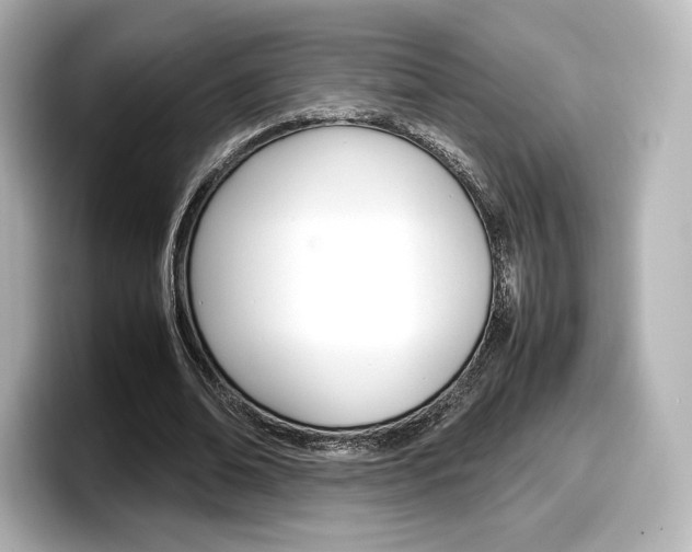 X0000098190678200804241051
