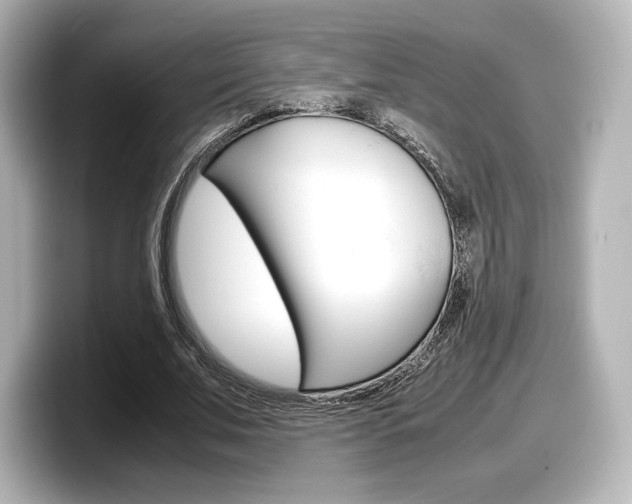 X0000098190679200804241051