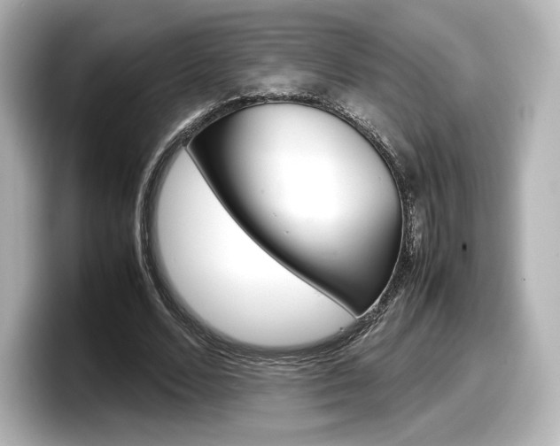 X0000098190680200804241051