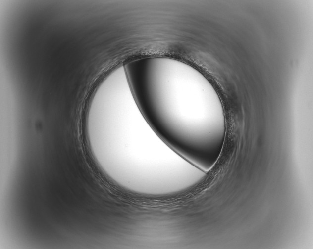 X0000098190681200804241051