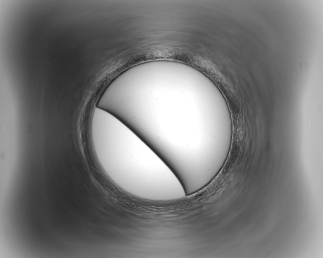 X0000098190683200804241051