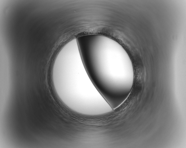 X0000098190685200804241051