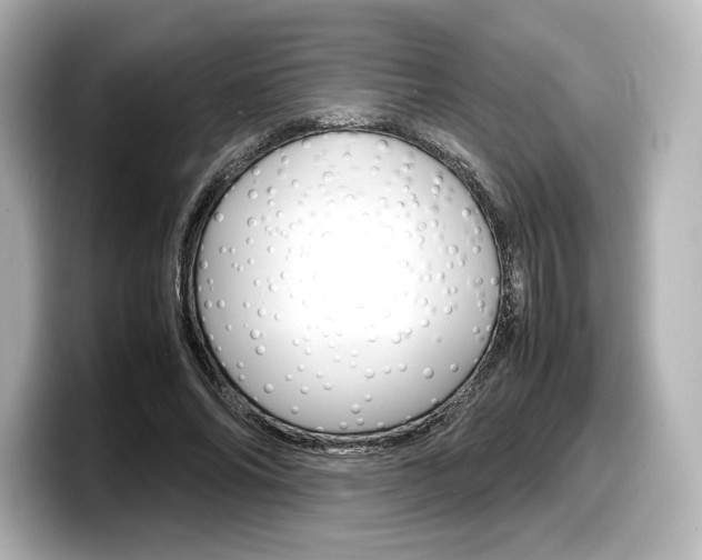 X0000098190686200804241051