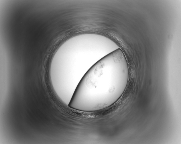 X0000098190687200804241051