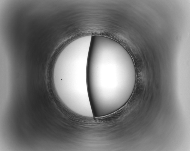 X0000098190688200804241051