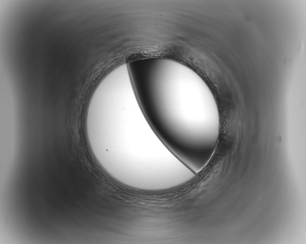 X0000098190689200804241051