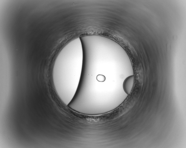X0000098190690200804241051