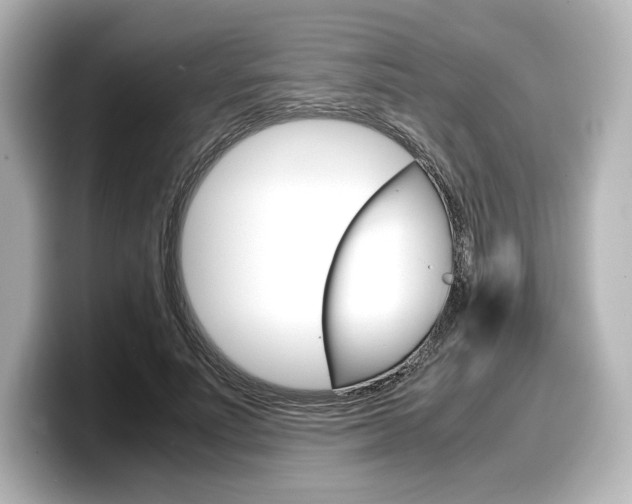 X0000098190691200804241051