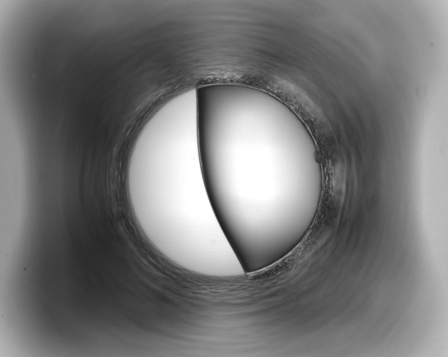 X0000098190692200804241051